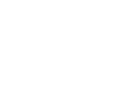 White logo polar leasing